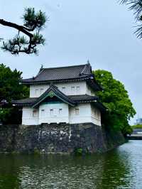Tokyo Imperial Palace: Where Serenity Meets Majesty