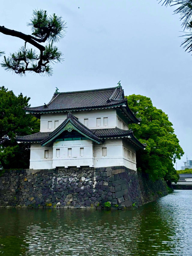 Tokyo Imperial Palace: Where Serenity Meets Majesty