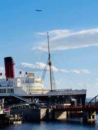 A Voyage Like No Other: Tokyo DisneySea Uncovered
