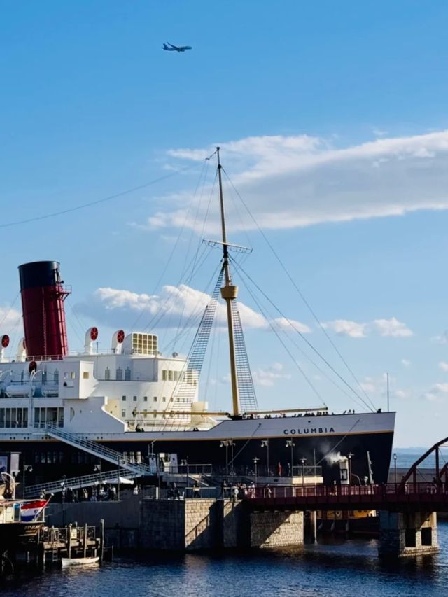 A Voyage Like No Other: Tokyo DisneySea Uncovered
