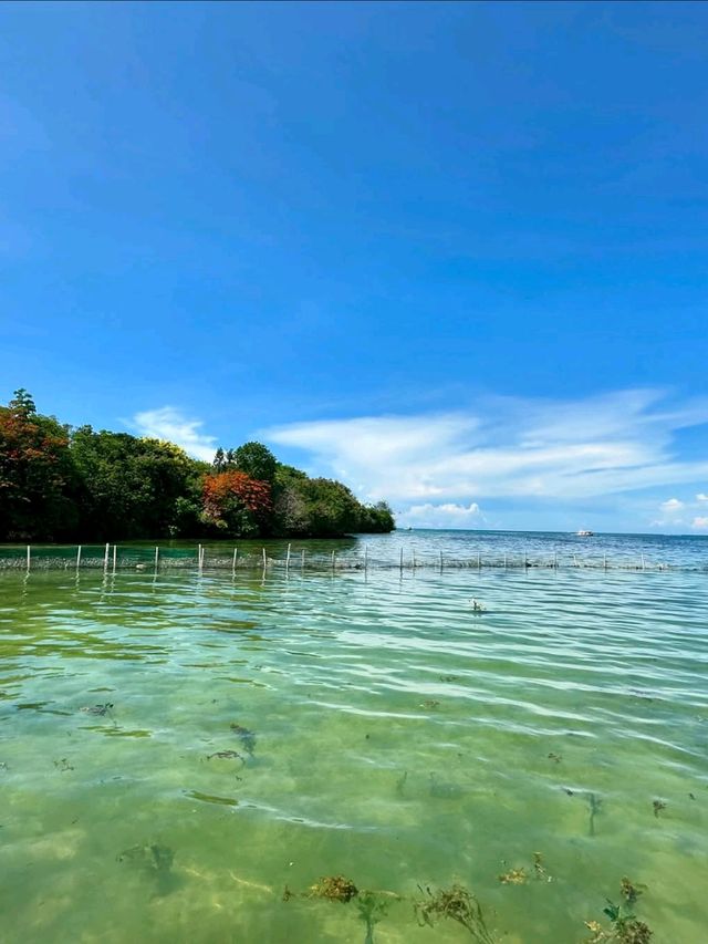 Discovering Crystal Cove in Boracay