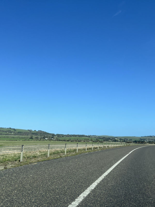7D6N Melbourne & Beyond Adventure!