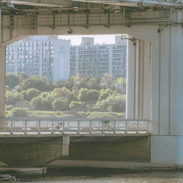 Chill Like a Local: Banpo & Jamwon Hangang River Vibes for Solo Travelers** 🌊🚴♀️