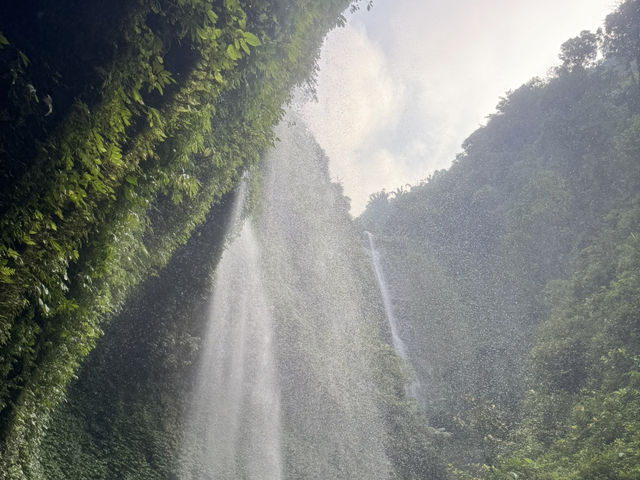 Bromo Kawah ijen Madakaripura Tumpaksewu Trip 