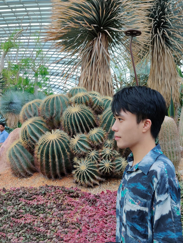 🌿 Cloud Forest — Singapore’s Climate-Controlled Paradise