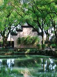 Ningbo Citywalk in a Day – Discover Classical Charm Hidden in the Bustling City
