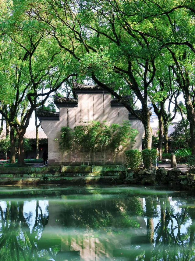 Ningbo Citywalk in a Day – Discover Classical Charm Hidden in the Bustling City