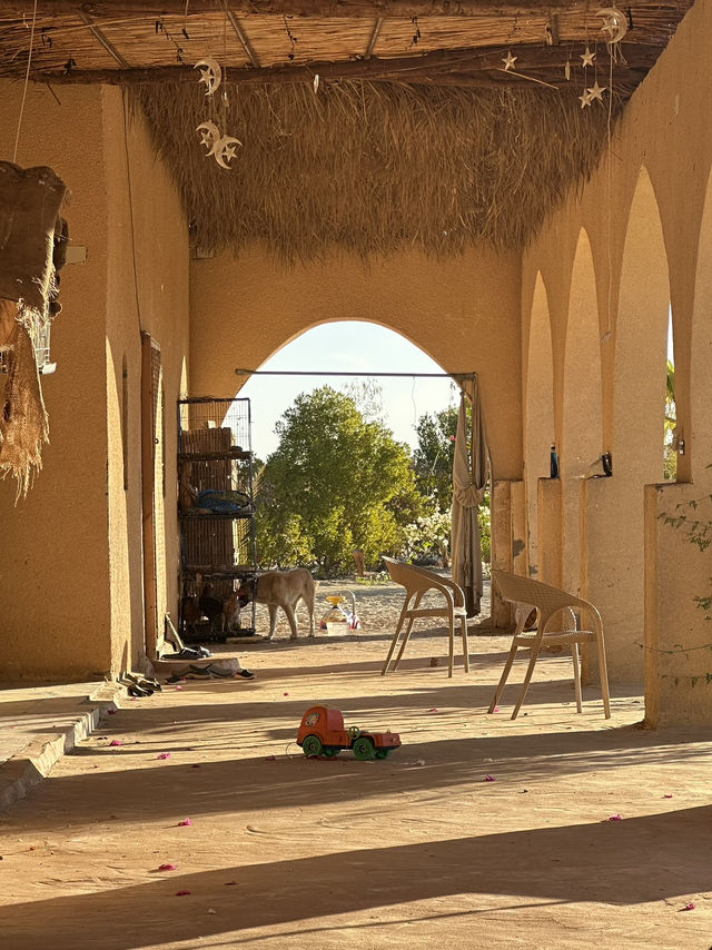 Hayaat: Wheee The Desert Steams