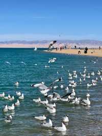 Whispers of the Wind: Qinghai Lake’s Eternal Peace