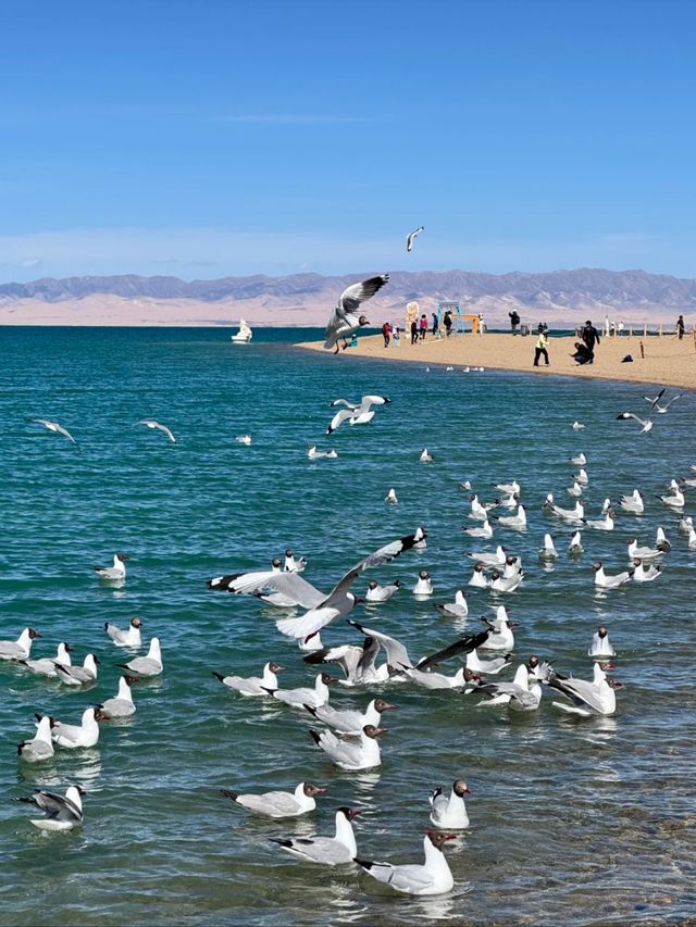 Whispers of the Wind: Qinghai Lake’s Eternal Peace