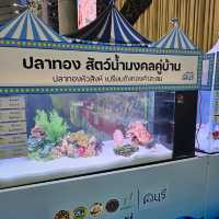 🐟 Fishtival (ประมงน้อมเกล้า) 🐟 