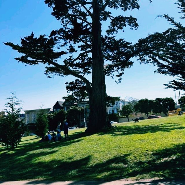 샌프란시스코, 해무와 언덕이 만든 감성 가득한 여행기