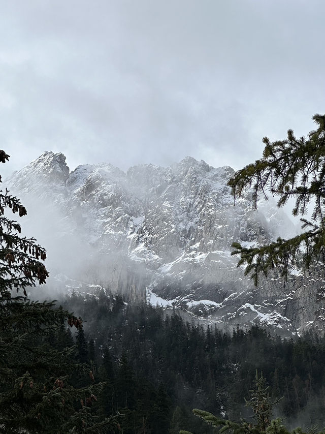 The Virgin Forests Of Jiuzhaigou