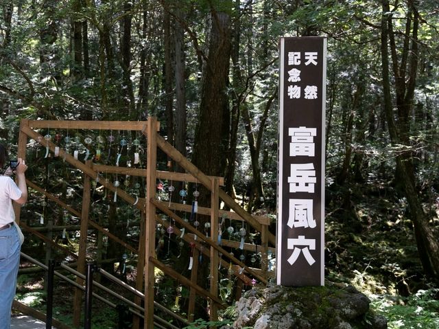 【山梨】鳴沢氷穴と合わせて行きたい「富岳風穴」