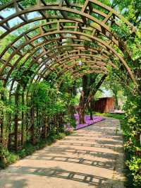 The Wetland That Taught Hangzhou to Breathe