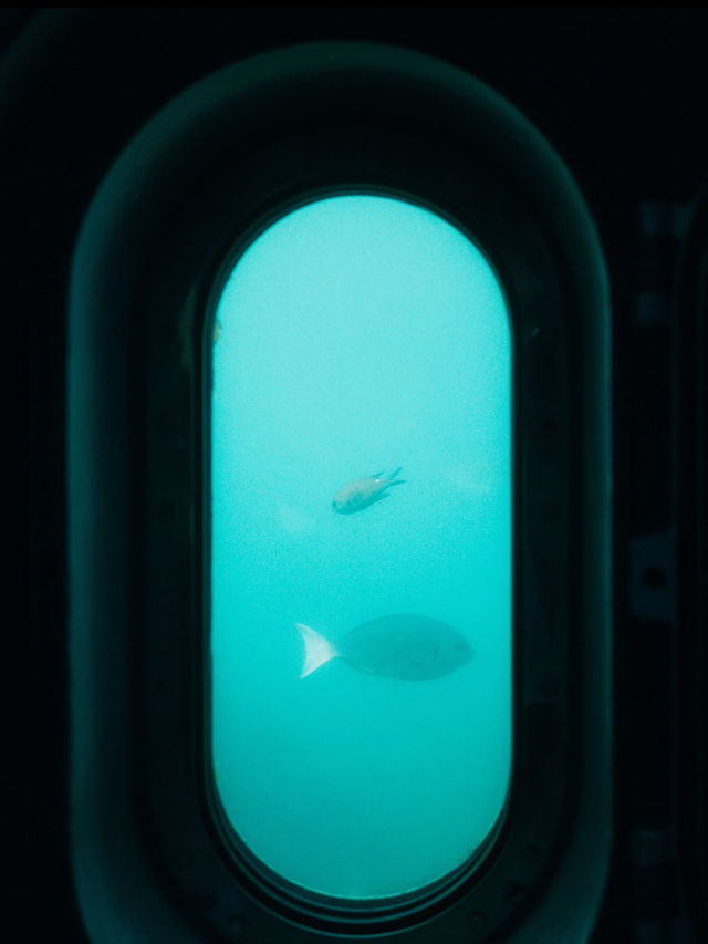 【玄海海中展望塔】海の中を歩くような、不思議で癒しの体験🐠🌊