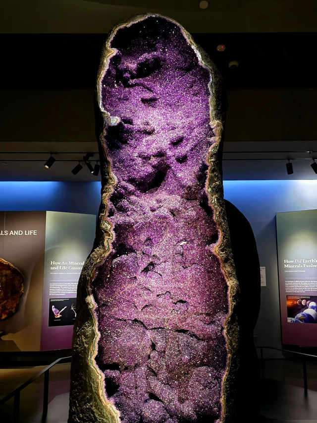 The Sparkling Giant: Amethyst Geode at the American Museum of Natural History 💎🌍