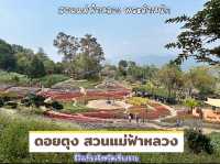 ดอยตุง สวนแม่ฟ้าหลวง