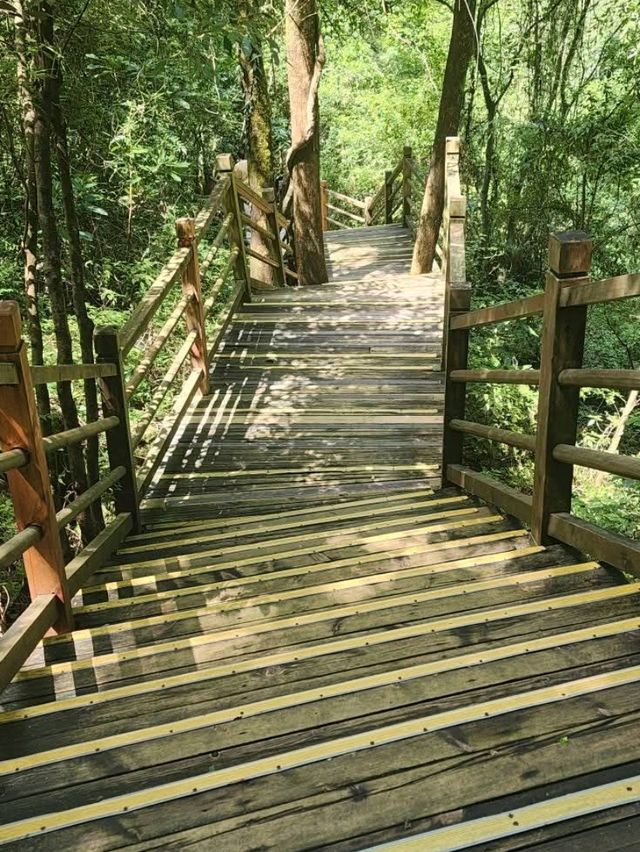 “Zhangjiajie Grand Canyon: A Glass Bridge to Nature’s Wonders”