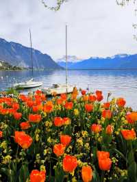 🇨🇭Montreux | A Fairytale Spring by Lake Geneva 