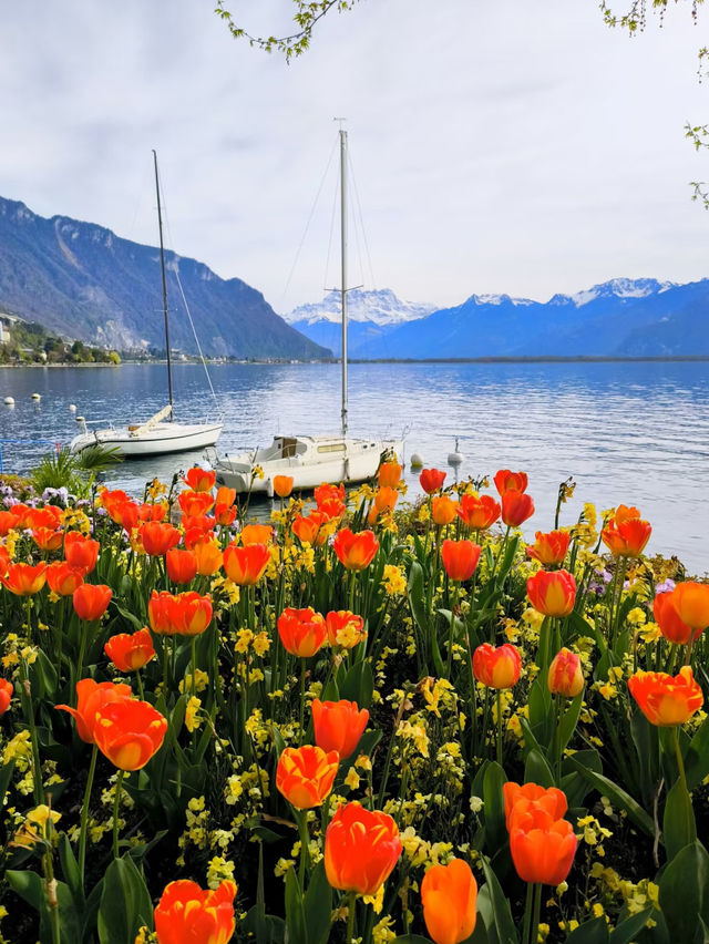 🇨🇭Montreux | A Fairytale Spring by Lake Geneva 