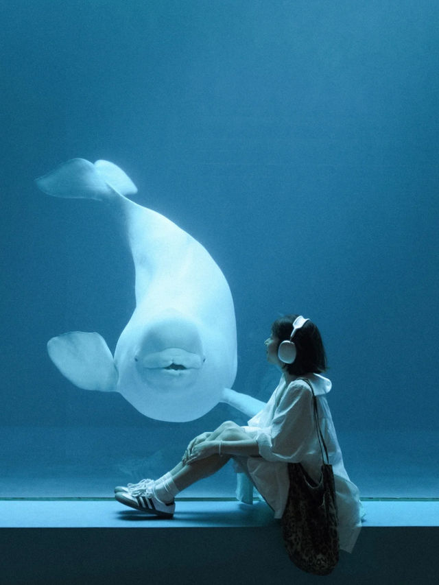 🐧 Harbin Polarland – China’s First Polar Aquarium