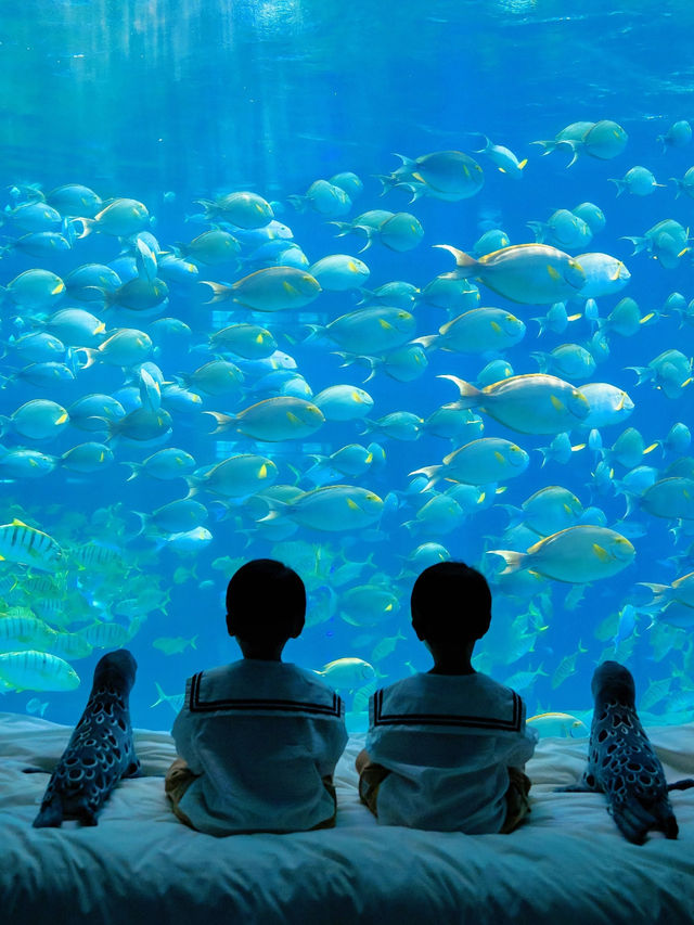 China 🇨🇳 🐠 Dali Ocean Hotel 