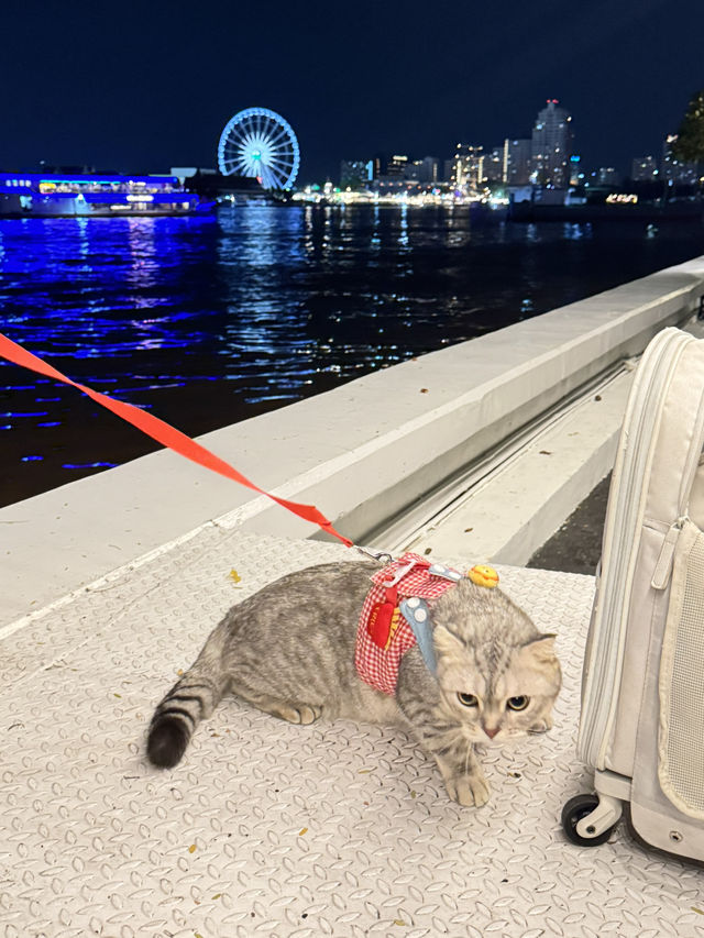โรงแรมริมแม่น้ำเจ้าพระยา Pet Friendly 🐈
