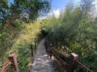 Exploring Juxing Mountain