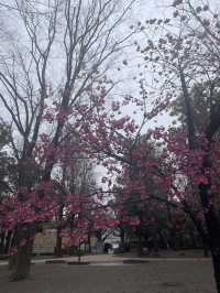 🇯🇵 Ueno Park