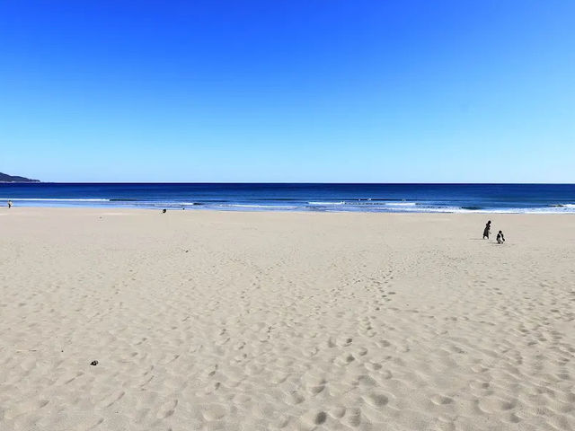 高知の“ウユニ塩湖”！？入野の浜で幻想的な海の旅を