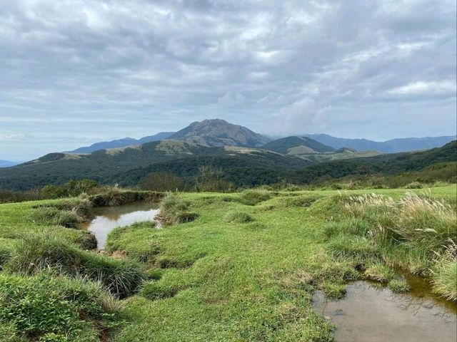 Wandering Through the Grassy Beauty of North Wuzhishan
