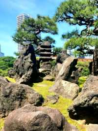 A Calm Break at Kyu-Shiba-rikyu Gardens