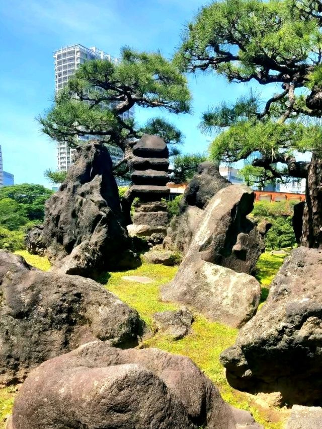 A Calm Break at Kyu-Shiba-rikyu Gardens