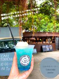 【渡嘉敷島】那覇から約1時間で気軽に行ける離島へ！🏝️