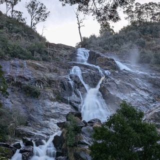 St Columba Falls (Tasmania)