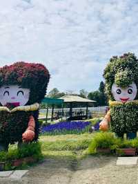 Zhongshe Flower Market Taiwan: Fields of Colorful Dreams
