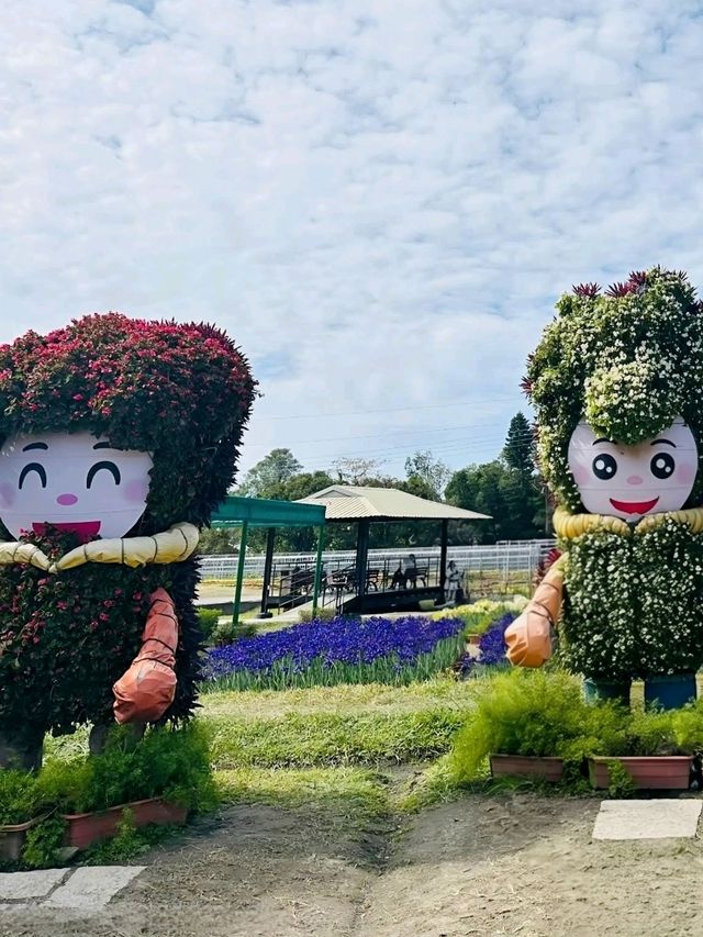 Zhongshe Flower Market Taiwan: Fields of Colorful Dreams