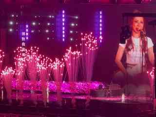 啓徳主場館のおすすめコンサート2025年（12月更新）| Trip Moments