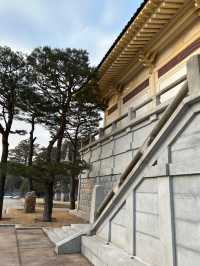 ๐๏ธ ํ๊ตญ ์ ํต๋ฏธ์ ์ ์ โจ ํธ์๋ฏธ์ ๊ด & ํฌ์ ๐ธ