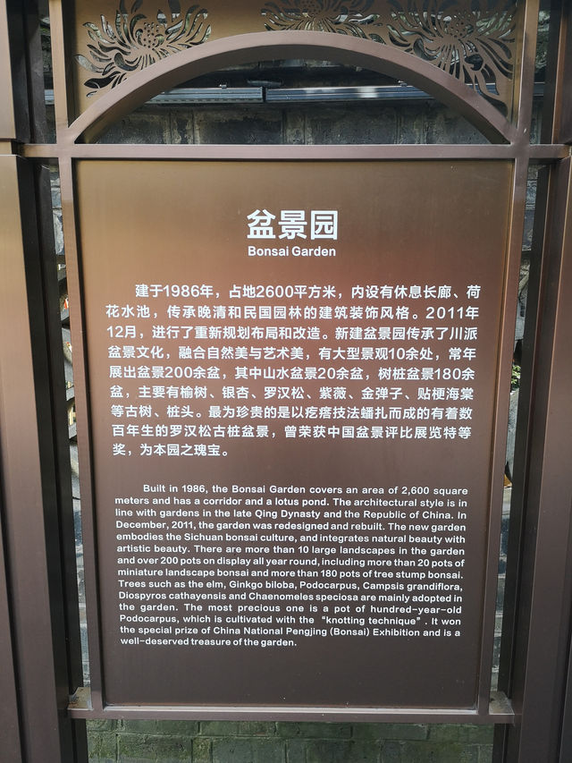 🌳 People’s Park Chengdu: A Historic Heartbeat of Sichuan