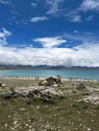 High Altitude, Higher Beauty: Namtso Awaits