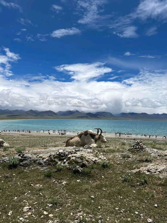 High Altitude, Higher Beauty: Namtso Awaits