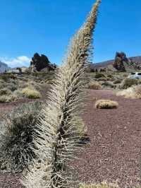 Teide National Park (Tenerife, Canary Islands)