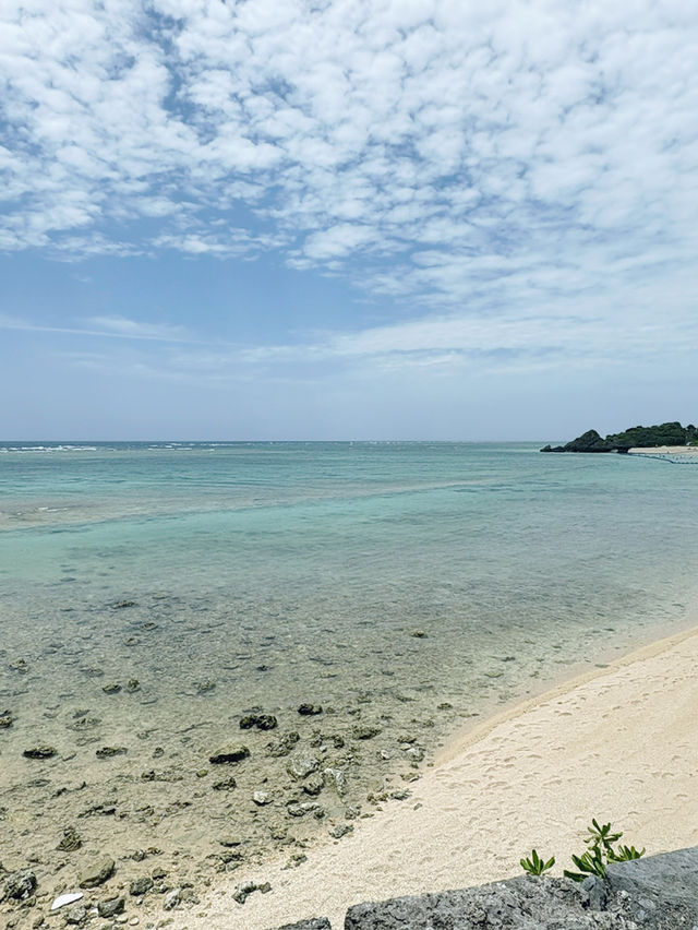 🌺 7天沖繩之旅總結：美食、靈性與自駕的完美冒險！✨