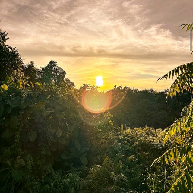 Cyberjaya Lake Gardens 