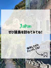 【東京湾に浮かぶ無人島🏝️猿島🐵】不思議な無人島体験レポ‼️