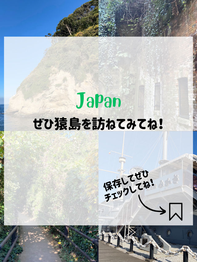 【東京湾に浮かぶ無人島🏝️猿島🐵】不思議な無人島体験レポ‼️