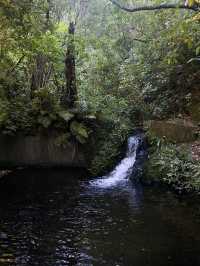 Revolving Around the Beauty of Nature: Wildlife & Conservation – New Zealand 