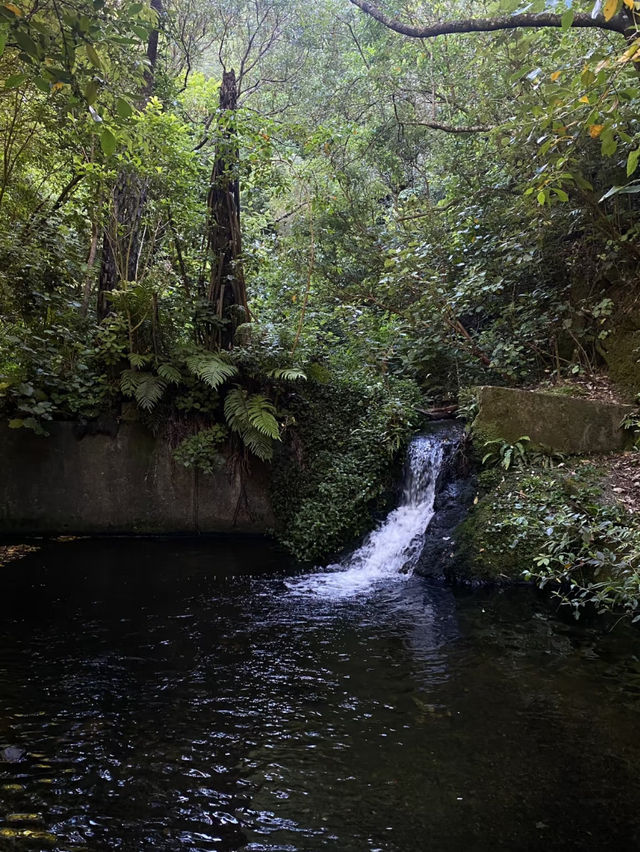 Revolving Around the Beauty of Nature: Wildlife & Conservation – New Zealand 